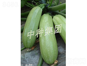BIJOU-����«����-���ּ���