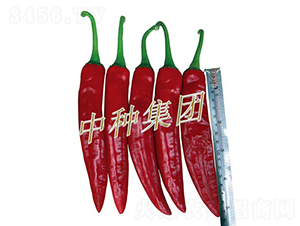 ��Դ818-��������-���ּ���