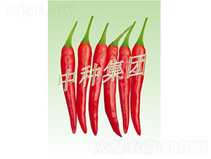 ����08-��������-���ּ���