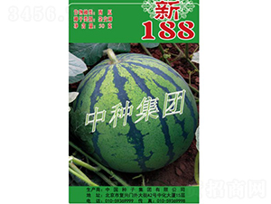 ��188-��������-���ּ���