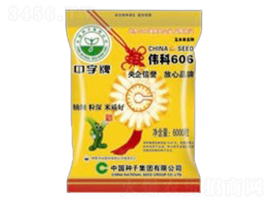 ΰ��606-��������-���ּ���