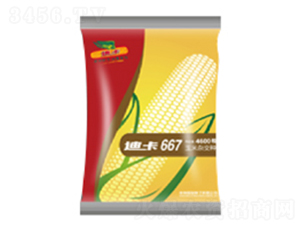 �Ͽ�667-��������-���ּ���