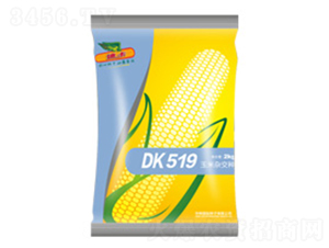 �Ͽ�519-��������-���ּ���