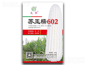 ����Ŵ602-��������-����ҵ