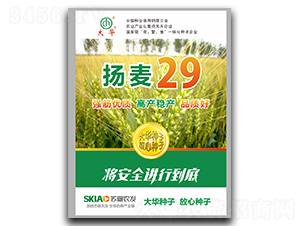 ����29-С������-����ҵ