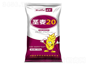 ʥ��20-С������-ʥ����ҵ