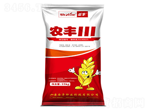 ũ��111-С������-ʥ����ҵ