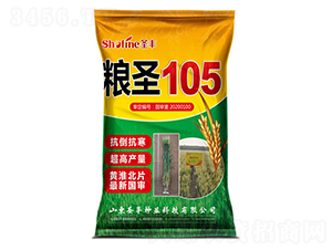��ʥ105-С������-ʥ����ҵ
