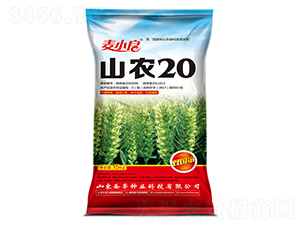 ɽũ20-С������-ʥ����ҵ