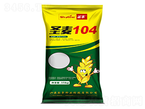 ʥ��104-С������-ʥ����ҵ