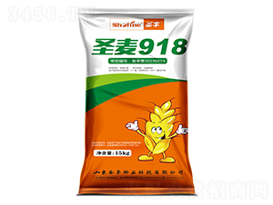 ʥ��918-С������-ʥ����ҵ
