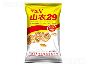 ɽũ29-С������-ʥ����ҵ