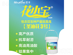 ʥ�ͻ�3��-��������-ʥ����ҵ