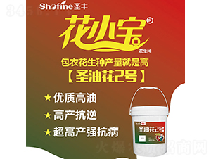 ʥ�ͻ�2��-��������-ʥ����ҵ