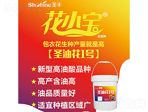 ʥ�ͻ�1��-��������-ʥ����ҵ