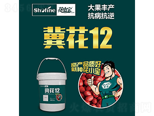 ����12-��������-ʥ����ҵ