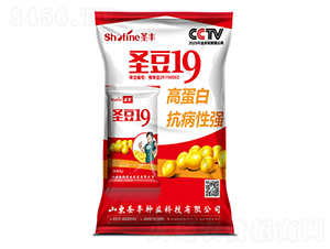 ʥ��19-������-ʥ����ҵ