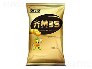 ���35-������-ʥ����ҵ