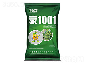 ��1001-������-ʥ����ҵ