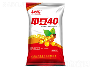 �ж�40-������-ʥ����ҵ