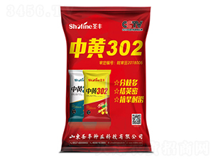 �л�302������-ʥ����ҵ