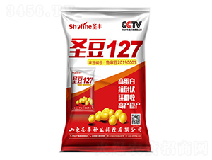 ʥ��127-������-ʥ����ҵ