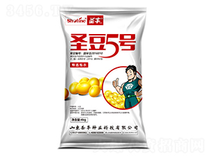ʥ��5��-������-ʥ����ҵ
