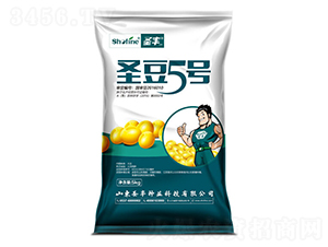 ʥ��5-������-ʥ����ҵ