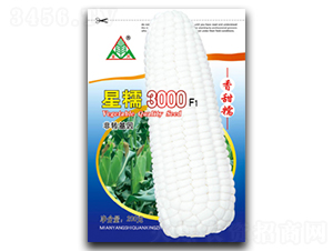 ��Ŵ3000-Ŵ��������-ȫ����ҵ