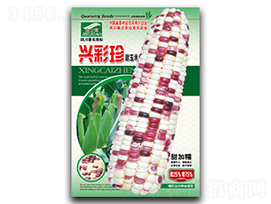 �˲���-Ŵ��������-ȫ����ҵ