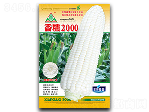 ��Ŵ2000-Ŵ��������-ȫ����ҵ