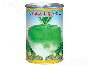 СӧԲ��ͷ���ޣ�-��ͷ������-ȫ����ҵ