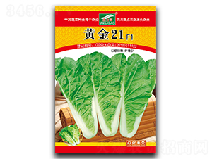 �ƽ�21-�������-ȫ����ҵ