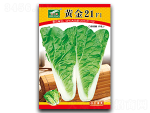 30g�ƽ�21-�������-ȫ����ҵ