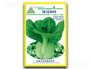 �̹�605-�๣������-ȫ����ҵ