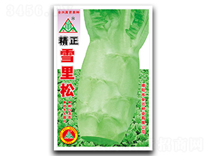 ����ѩ����-ݫ������-ȫ����ҵ