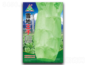 ѩ������-ݫ������-ȫ����ҵ