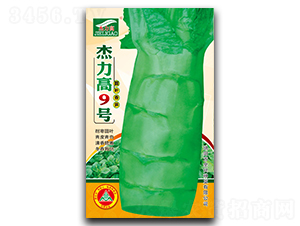 ������9��-ݫ������-ȫ����ҵ