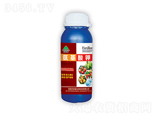 ������أ��죩-�ڼѷ�