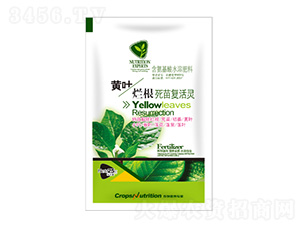 ��Ҷ�ø����縴����-�ڼѷ�