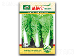 �̿챦�������-ȫ����ҵ