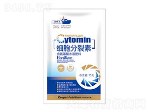 ϸ��������-�ڼѷ�