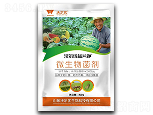 150g΢�������-��Ƭ��-�ֶ���