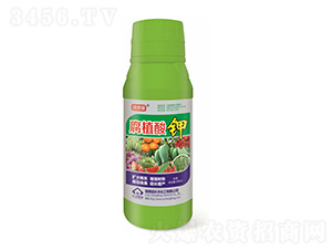 500ml��ֲ���-������-���ữ��