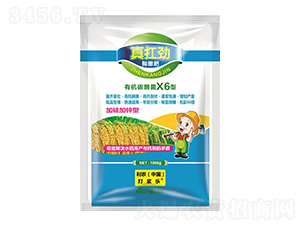 �л�̼ù��X6�ͣ������ʣ�-�濸��-���ữ��