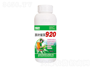 ��Ҷ��ѿ920-ŵ����