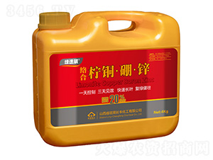 4kg�����ͭ����п-���ữ��