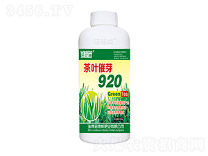1000g��Ҷ��ѿ920-ŵ����