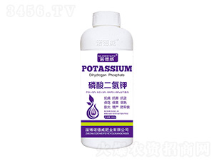 1000g��������-ŵ����
