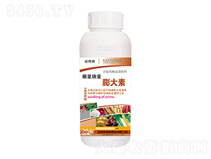 �����龥�����-ŵ����